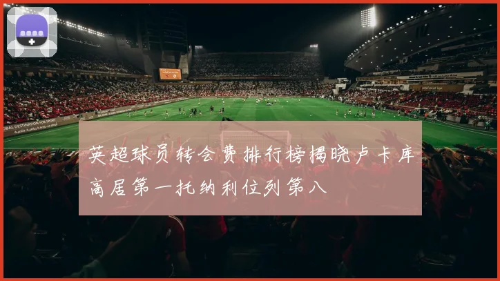 英超球员转会费排行榜揭晓卢卡库高居第一托纳利位列第八
