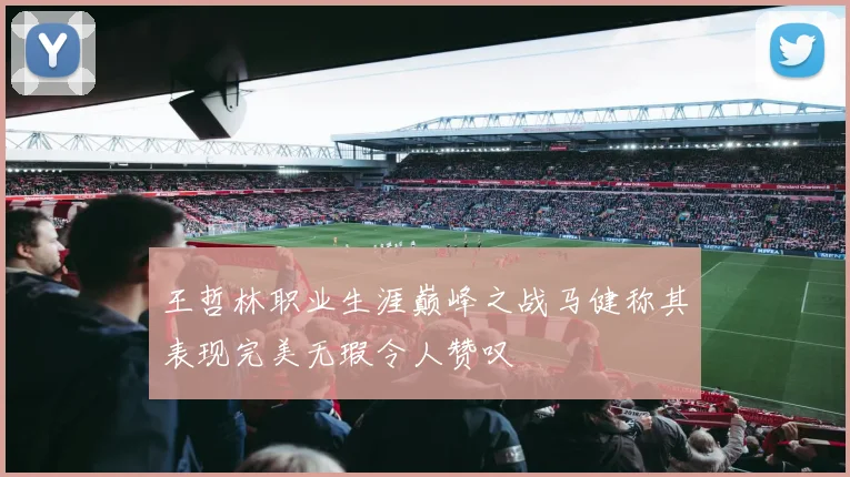 王哲林职业生涯巅峰之战马健称其表现完美无瑕令人赞叹