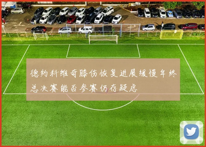 德约科维奇膝伤恢复进展缓慢年终总决赛能否参赛仍存疑虑